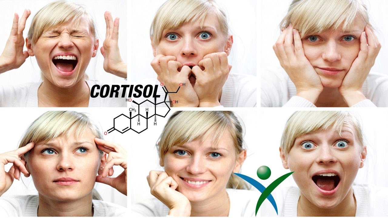 DAÑOS Y BENEFICIOS DEL CORTISOL