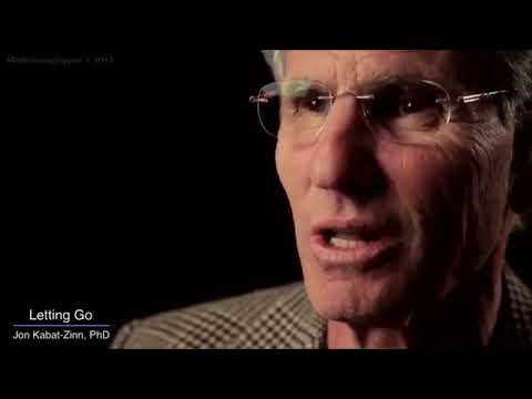 9 actitudes de mindfulness  Jon Kabat Zinn