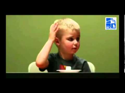 Test del malvavisco