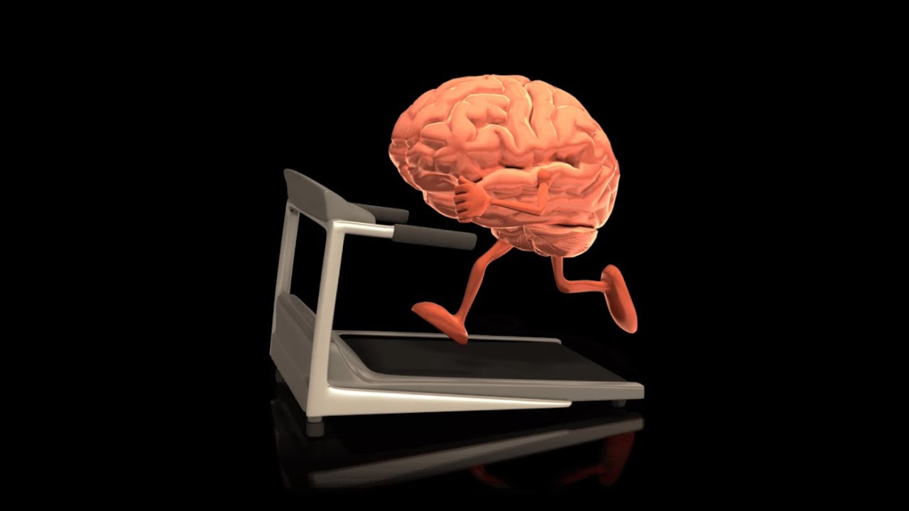 Celebro el cerebro y el deporte.