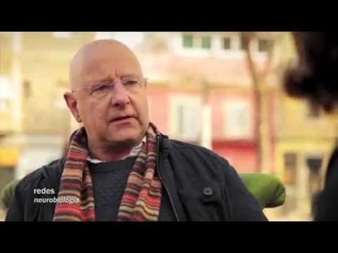 La mediana edad - ELSA PUNSET
