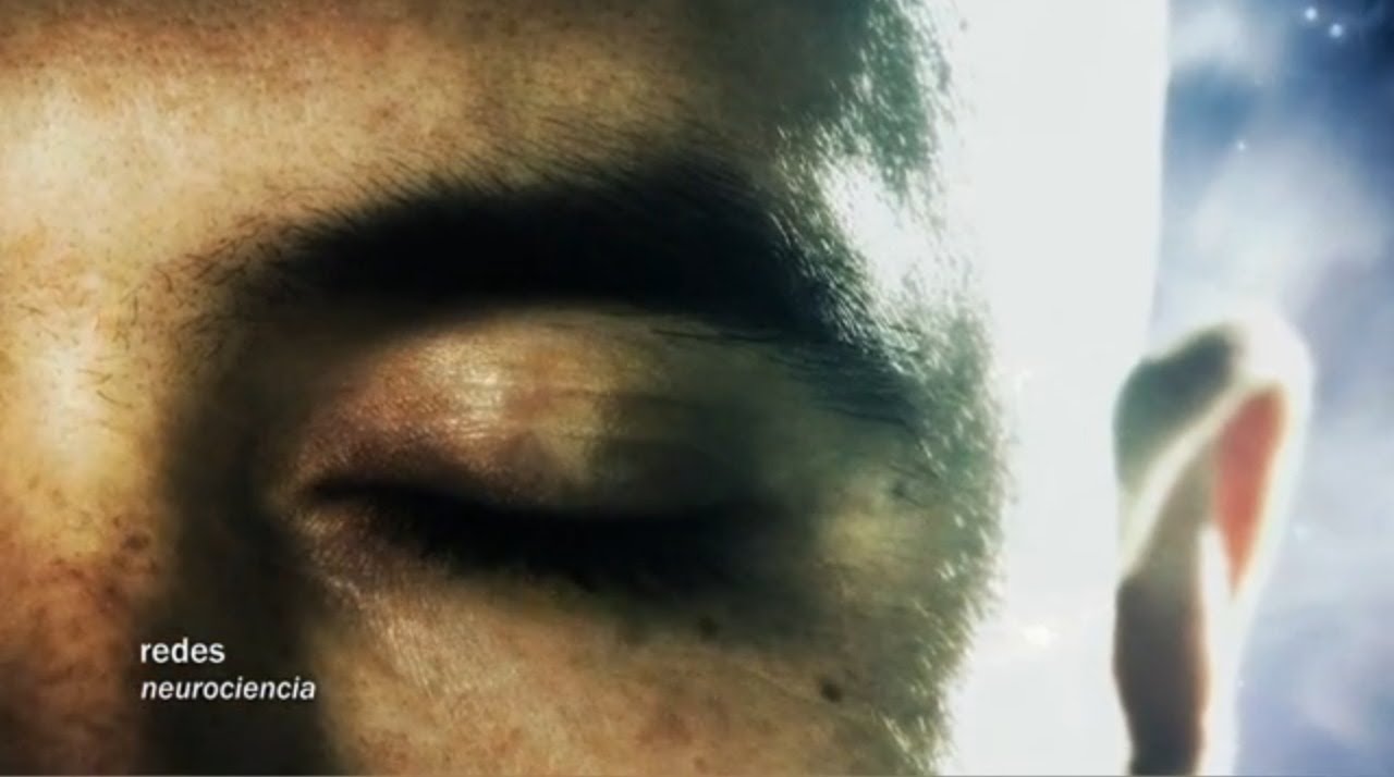 Redes 108: El cerebro construye la realidad - neurociencia