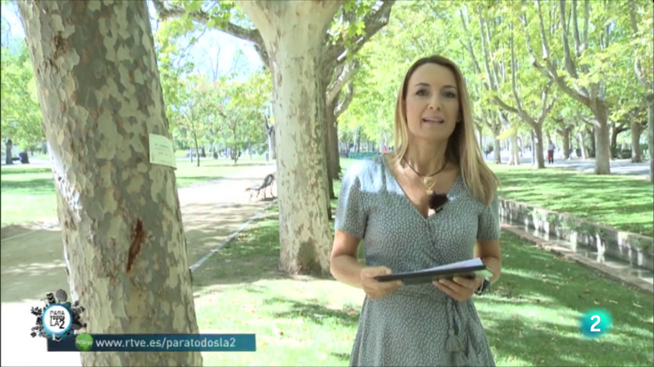 Claves para ayudar a las personas que están tristes. Patricia Ramirez.