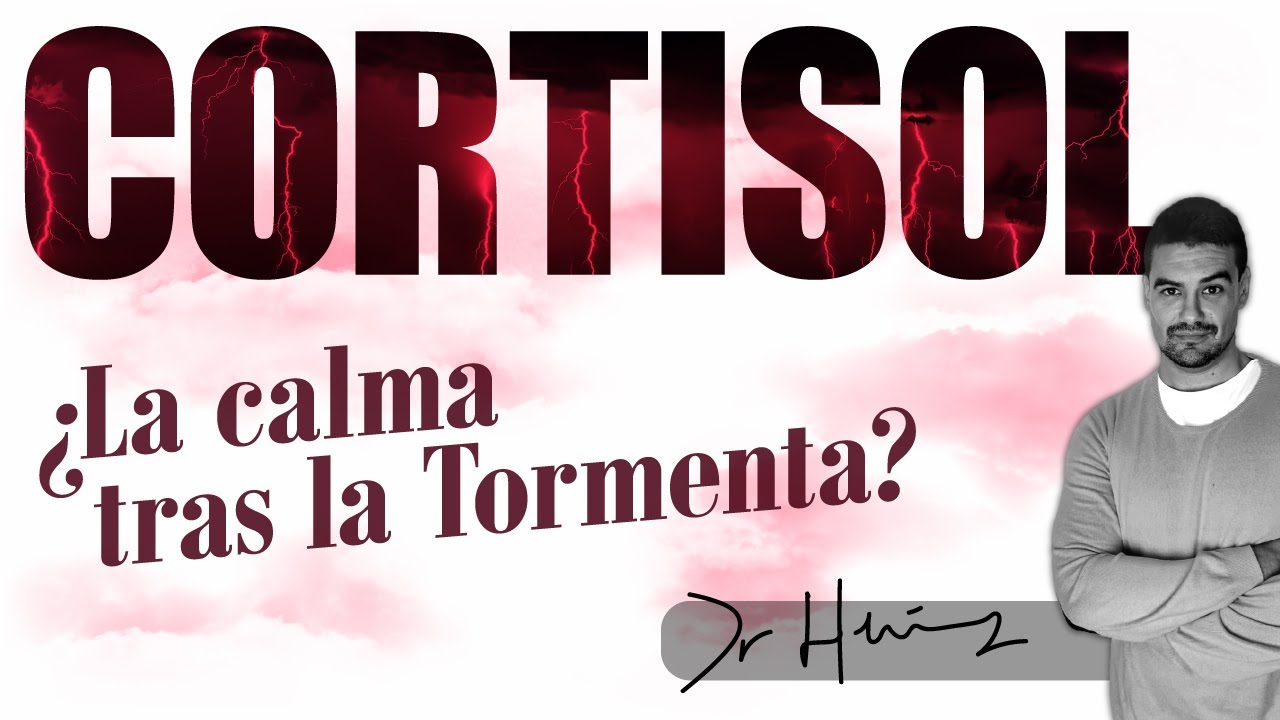 Cortisol La Hormona Del Estrés. Qué Es Y Cómo Controlarla